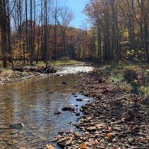 Meet your Posher, Jeff